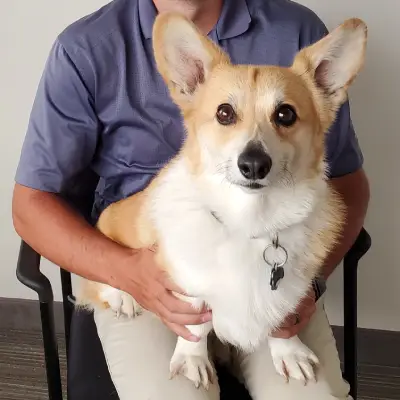 Winston